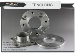 Paslanmaz Çelik Flanş